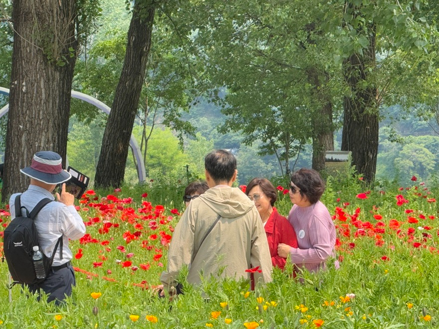 (나)가평군, 철도관광상품 ‘순항’… 다양한 테마 ‘인기’1.JPG