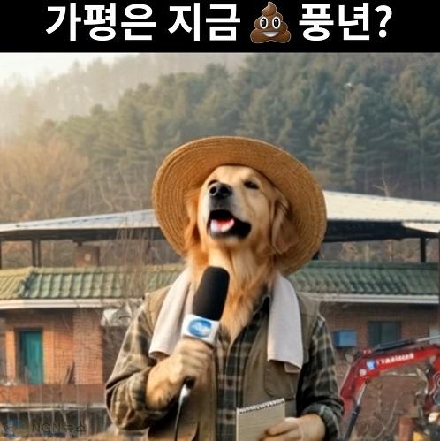시퀀스 13.00_00_11_01.스틸 001.jpg