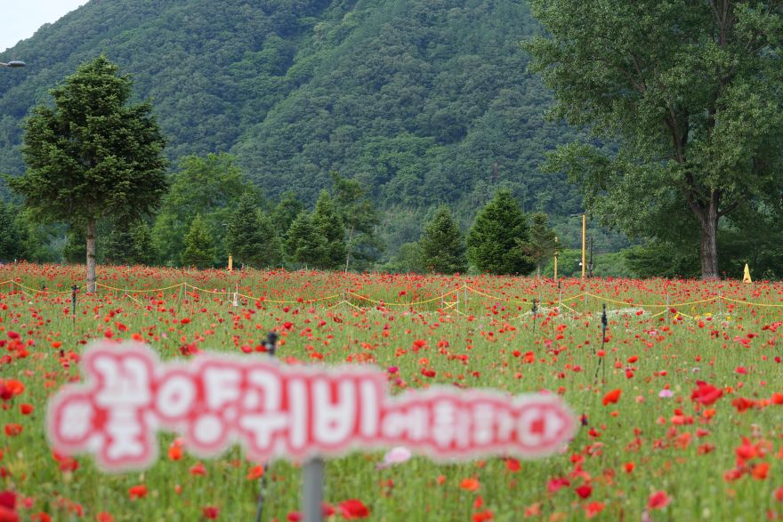 남도2.JPG