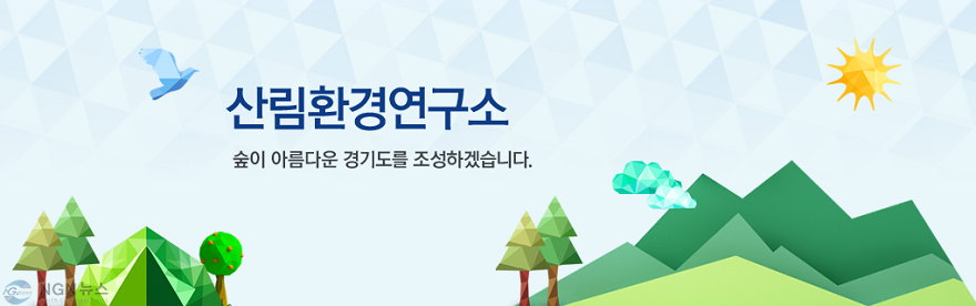 forest_visual_img01.png