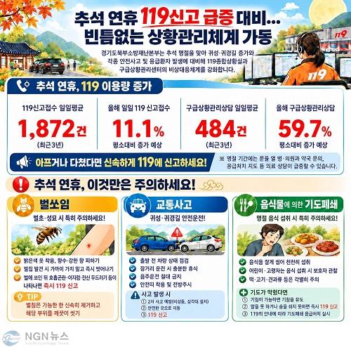 추석연휴 119신고급증 대비 그래픽.jpg