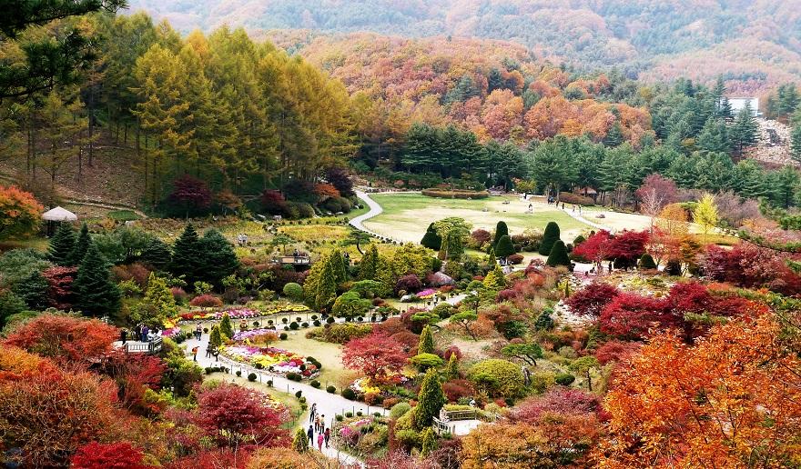 (가)[기획] 10월의 가평… 어디를 걸어도 한 폭의 그림(아침고요수목원)2.jpg