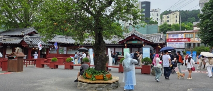 [단독=종합 ]남이섬 '무료 입장권' 유통 실태…직원→식당→관광객 '검은 돈' 흐름 포착