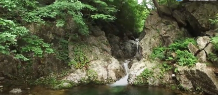 가평군, '물폭탄' 상처 딛고 일상 회복 총력... "두 번 죽이지 마세요" 역발상 제안