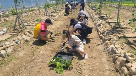 연천군, 영산조용기자선재단과 함께