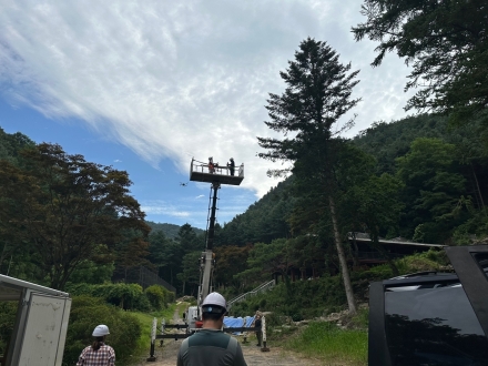 경기도, 여름철 소나무재선충병 확산 방지 위해 헬기·드론·방제단 예찰 추진