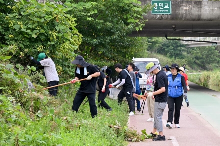 의정부시, 부용천 일대 부유물 청소... 지역 주민들과 함께 세 번째 정비 활동 진행