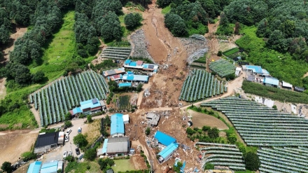 [기자 수첩] 한 달 전 가평에서는 무슨 일이 있었나?...상처를 딛고 빠른 회복의 길로