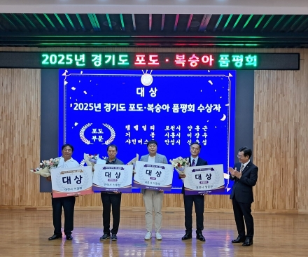 포천시, 2025년 「경기도 포도 품평회」 ‘캠벨얼리’ 부문 대상 수상