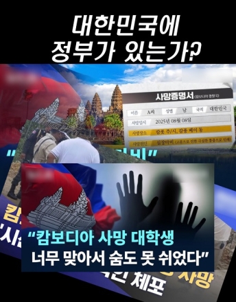 대한민국에 정부가 있는가?