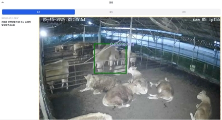 포천시, 인공지능(AI) 기반 한우 스마트팜 번식관리 시스템 본격 가동