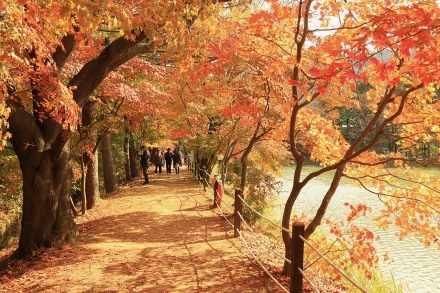 청평 옛 중앙내수면연구소 단풍길 개방행사, ‘성료’