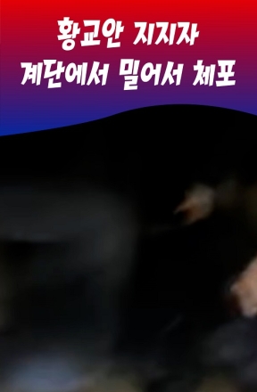 황교안 지지자 계단에서 밀어서 체포