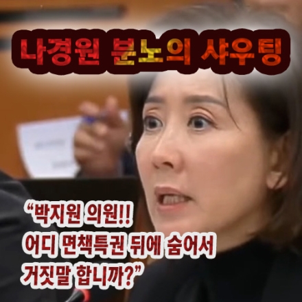 나경원 '분노의 샤우팅' "박지원 의원 어디 면책특권 뒤에 숨어서 거짓말 하십니까?