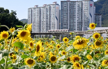 (기획) 의정부시, 우리동네 정책로드맵 ‘신곡2동편’