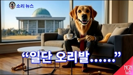 일단 오리발