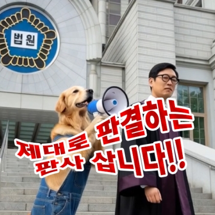 개소리 뉴스 "제대로 판결하는 판사 삽니다!!!"