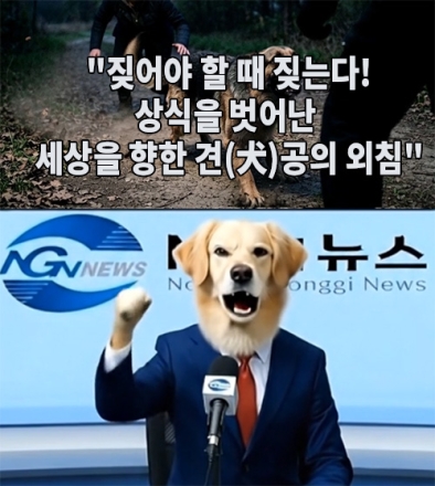 "짖어야 할 때 짖는다! 상식을 벗어난 세상을 향한 견(犬)공의 외침"