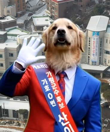 "나도 군수" 가평군수 후보 15명 무주공산