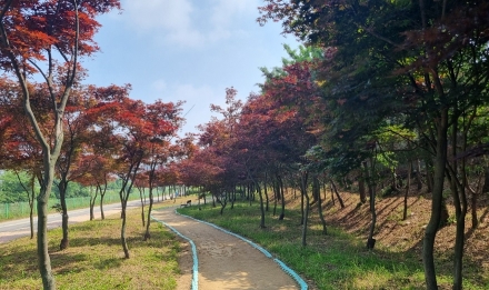 경기도, 올해 427억 투입해 도시숲 37만5천㎡ 조성