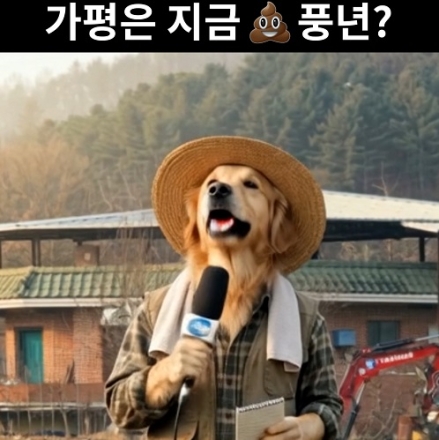 [개소리 뉴스] 가평은 지금 '똥' 풍년? 산이 특파원의 날카로운 현장 보도!