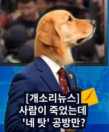 [개소리뉴스] 사람이 죽었는데 '네 탓' 공방만?