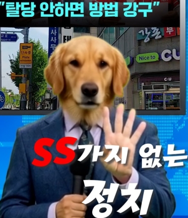 [개소리뉴스] 가평의 ‘투명 인간’ 국회의원을 찾습니다! ????