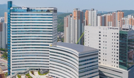 경기도, 필수조례 정비 박차...“연내 정비율 제고 총력”