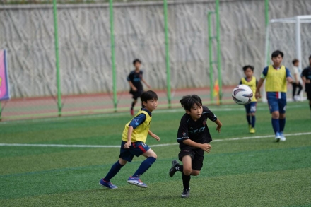 [현장] 아이들은 공을 차고, 어른들은 정을 나눴다…청평암 축구대회 ‘면민잔치’ 됐다