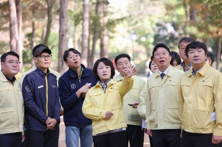 추미애, 소나무재선충병 확산 막기 위한 현장행보 지속. 가평군 방제 적극 지원키로