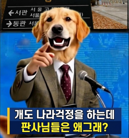 폭행하고 약발라주면 되는거야?