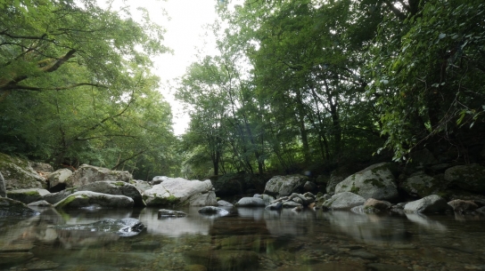 “경기 계곡에서 캠핑, 명상하세요”…도, 7~10월 계곡 체험프로그램 운영
