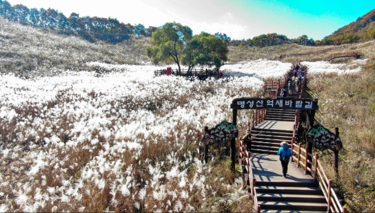 포천시, 제26회 명성산억새꽃 축제 성황리에...
