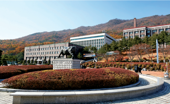 [기고]백영현 포천 시장 "대진대학교 의과대학 신설로 경기북부 의료공백을 메워야"