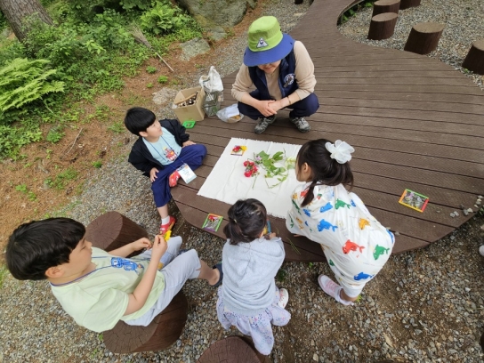 가평군, “잣나무숲에서 가족과 환경감수성 높이세요”