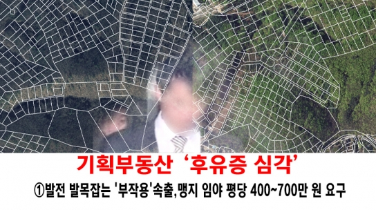 [연속 기획] 기획부동산에 ‘갈기갈기 찢긴’ 가평…임야 쪼개 ‘바둑판’ 됐다