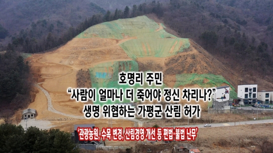 호명리 주민 “사람이 얼마나 더 죽어야 정신 차리나?”…생명 위협하는 가평군 산림 허가