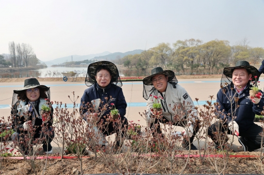 가평군,자라섬 중도 구간 620m에 2만7천의 봄꽃 식재     ~5