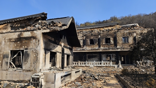 NGN 특별기획 10부작, '산불 재난과 산림 정책의 충돌 의성 산불이 던진 질문, 숲에서 답을 찾다'