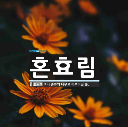 NGN 특별기획 10부작, '산불 재난과 산림 정책의 충돌 의성 산불이 던진 질문, 숲에서 답을 찾다'