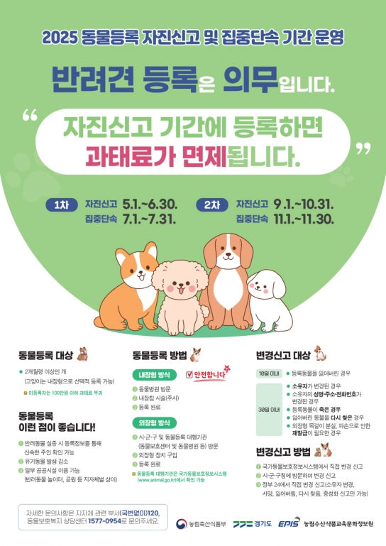 의정부시, 해외 방문 후 홍역 환자 발생 지속...여행 시 예방수칙 준수 당부