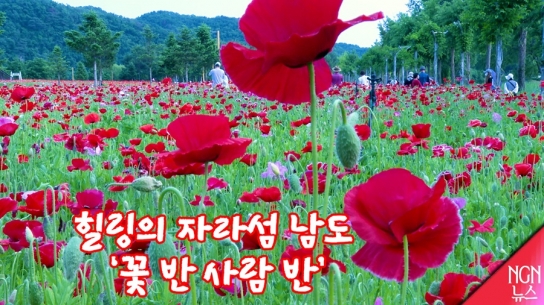힐링의 남도 '꽃 반 사람 반’…‘보고. 즐기고. 먹고’