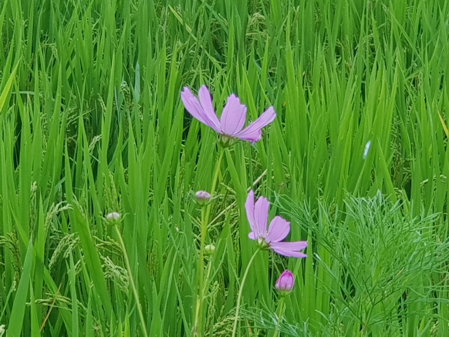 20190825_180742.jpg