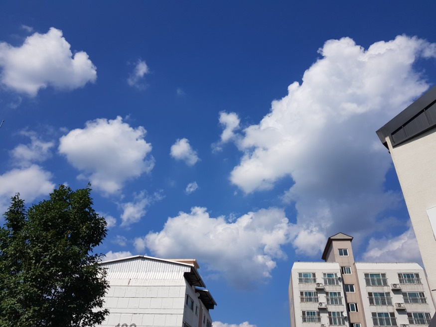 20190831_145943.jpg