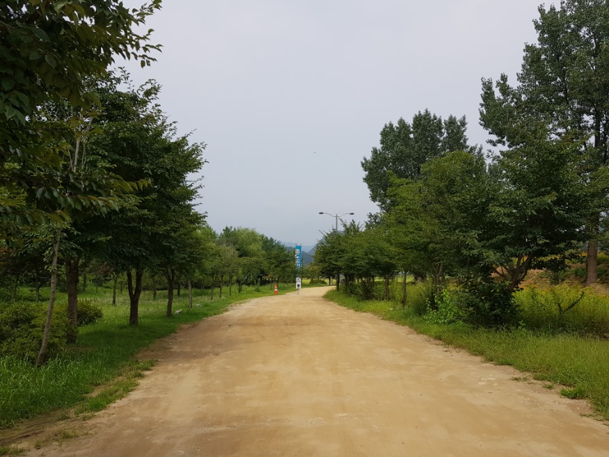 20190821_125530.jpg