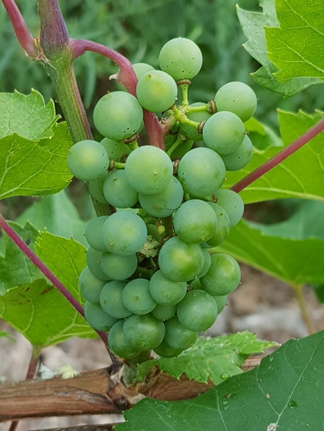 20190710_173056.jpg