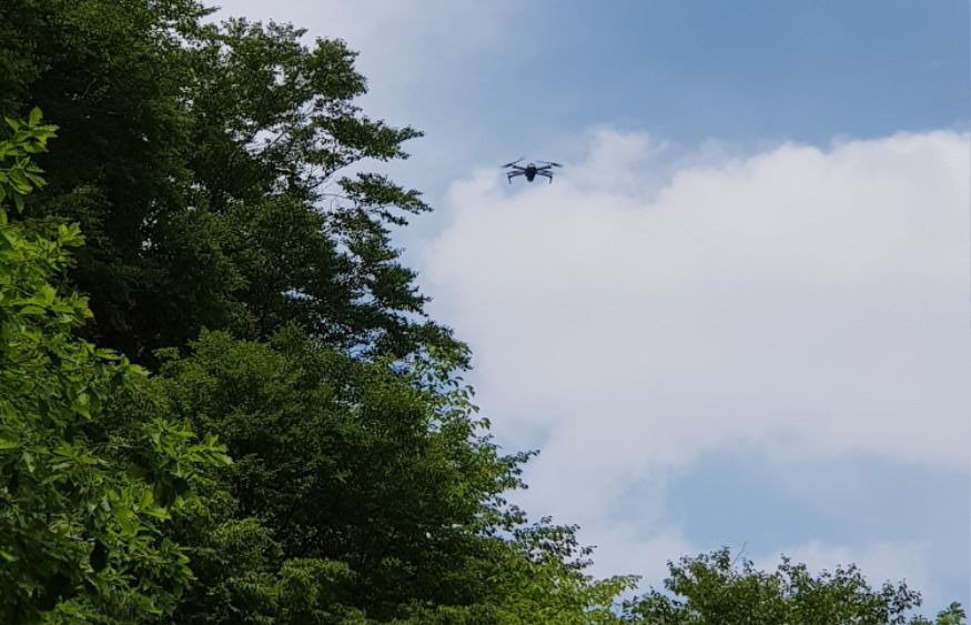 20190719_13453877.jpg
