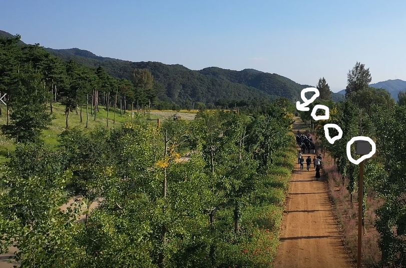 사라진 조명보행로.PNG
