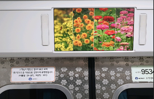 9호선.PNG