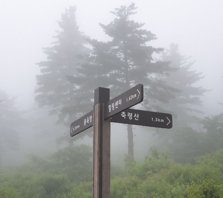 축령산 잣향기.PNG